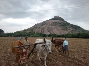 IMG 20211112 WA0011 300x225