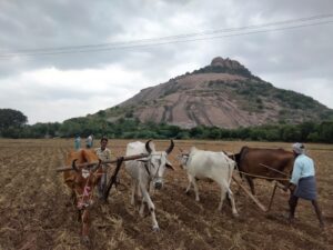 IMG 20211112 WA0017 300x225