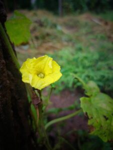 IMG20210815180054 01 225x300