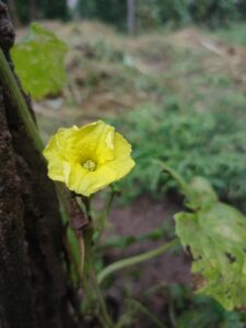 IMG20210815180054 225x300