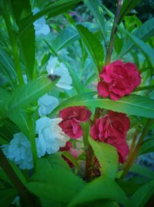 IMG20210912173222 01 224x300