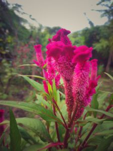 IMG20210912173352 01 225x300