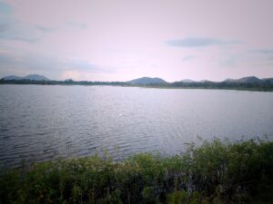 IMG 20211007 172402683 01 300x225