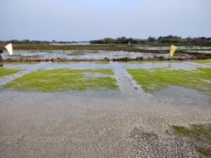 IMG 20211230 170046537 MF PORTRAIT 300x225