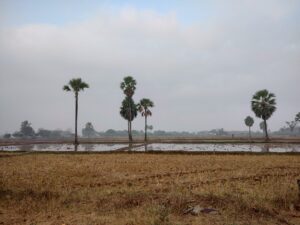 img 20220102 073103615 hdr