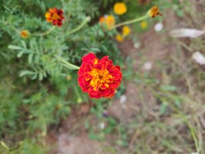 img 20220218 172939849