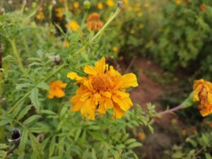 img 20220218 173110319