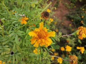 img 20220218 173117382