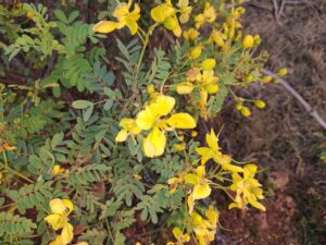 img 20220303 180300615