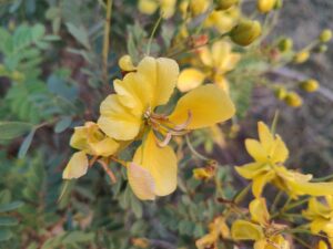 img 20220303 180314387