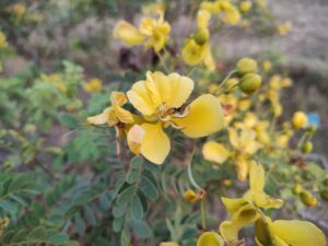 img 20220303 180328891