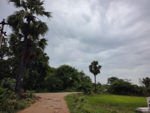 img 20220717 090737187