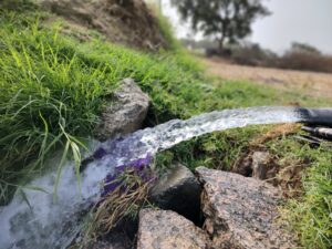 img 20240119 104804380 mf portrait